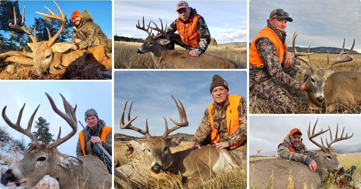 collage of hunters posing with their whitetail deer